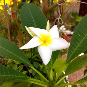 Summer Closet Clear Out